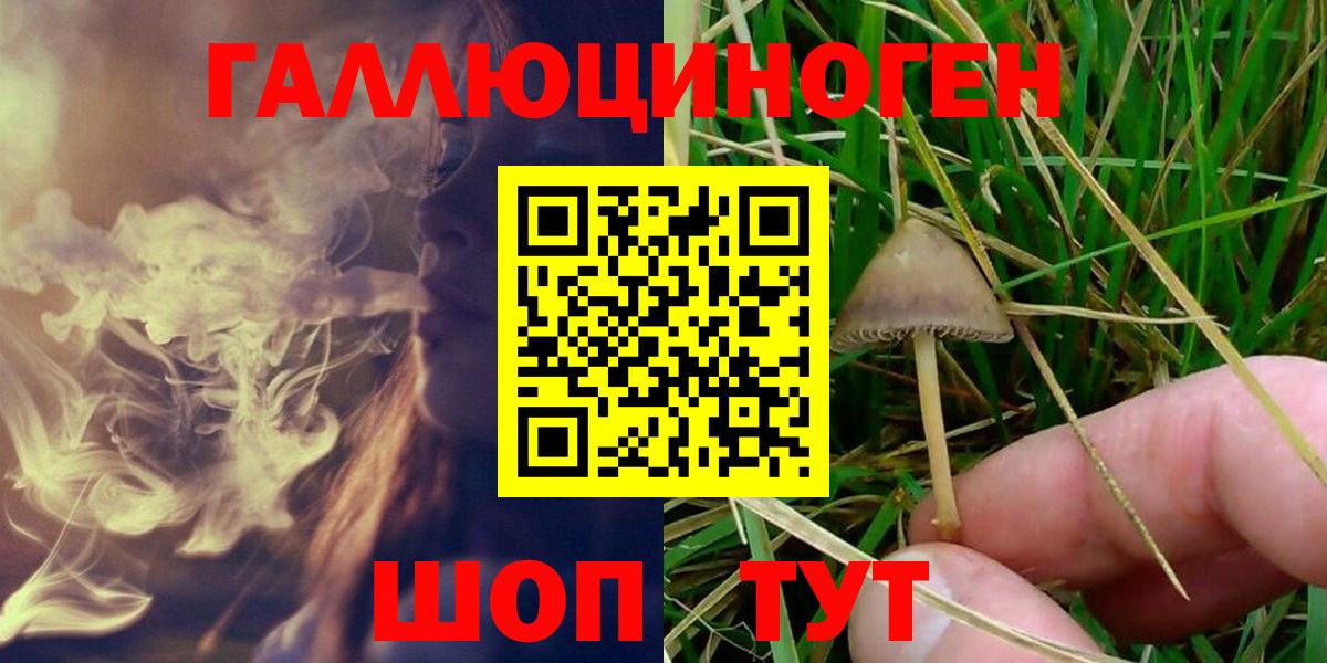 Псилоцибиновые грибы GOLDEN TEACHER  Вход с VPN  наркотики  Галлюциногенные грибы Cubensis  Городец 