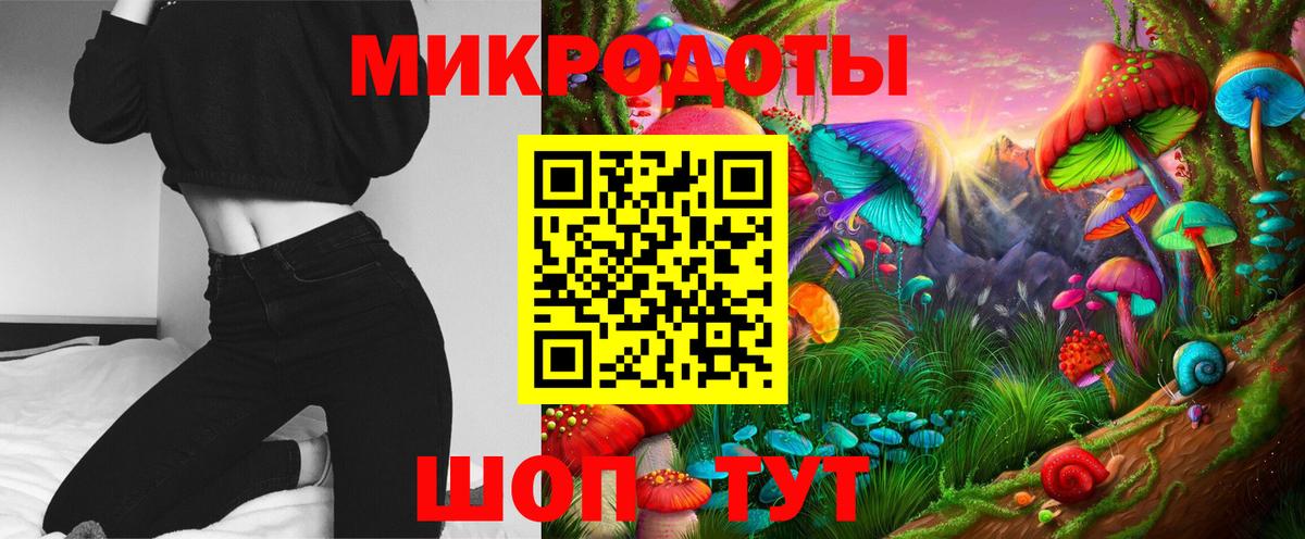 Псилоцибиновые грибы Psilocybe Городец